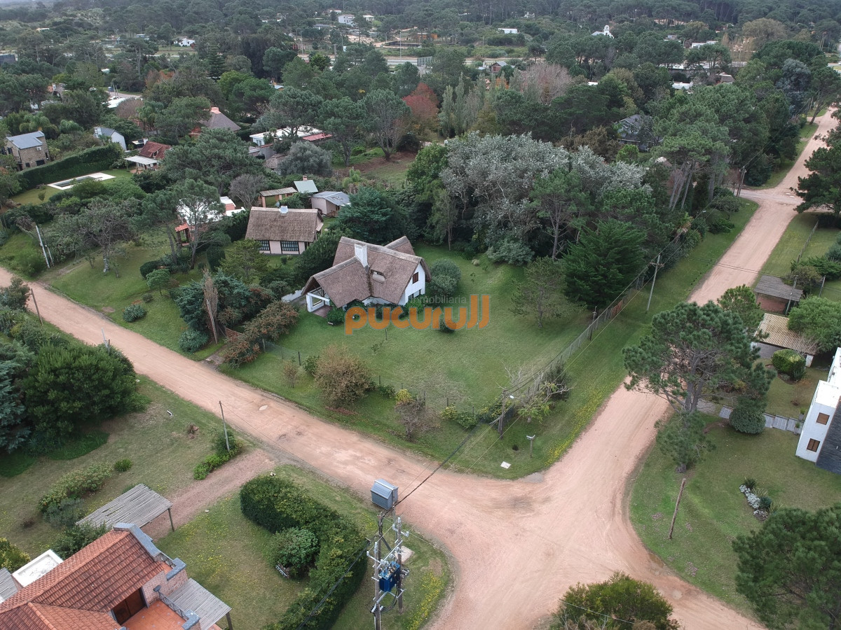 Tio Tom - GoPunta - Portal Inmobiliario de Punta del Este - Maldonado