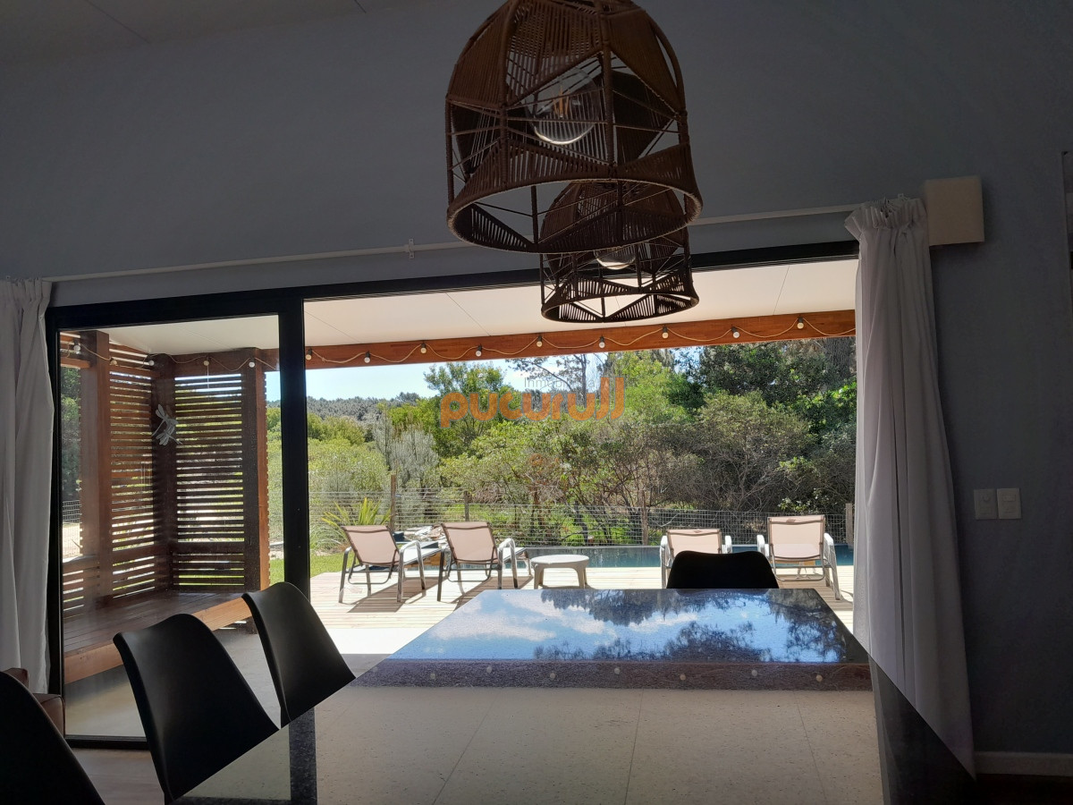 Chihuahua - GoPunta - Portal Inmobiliario de Punta del Este - Maldonado