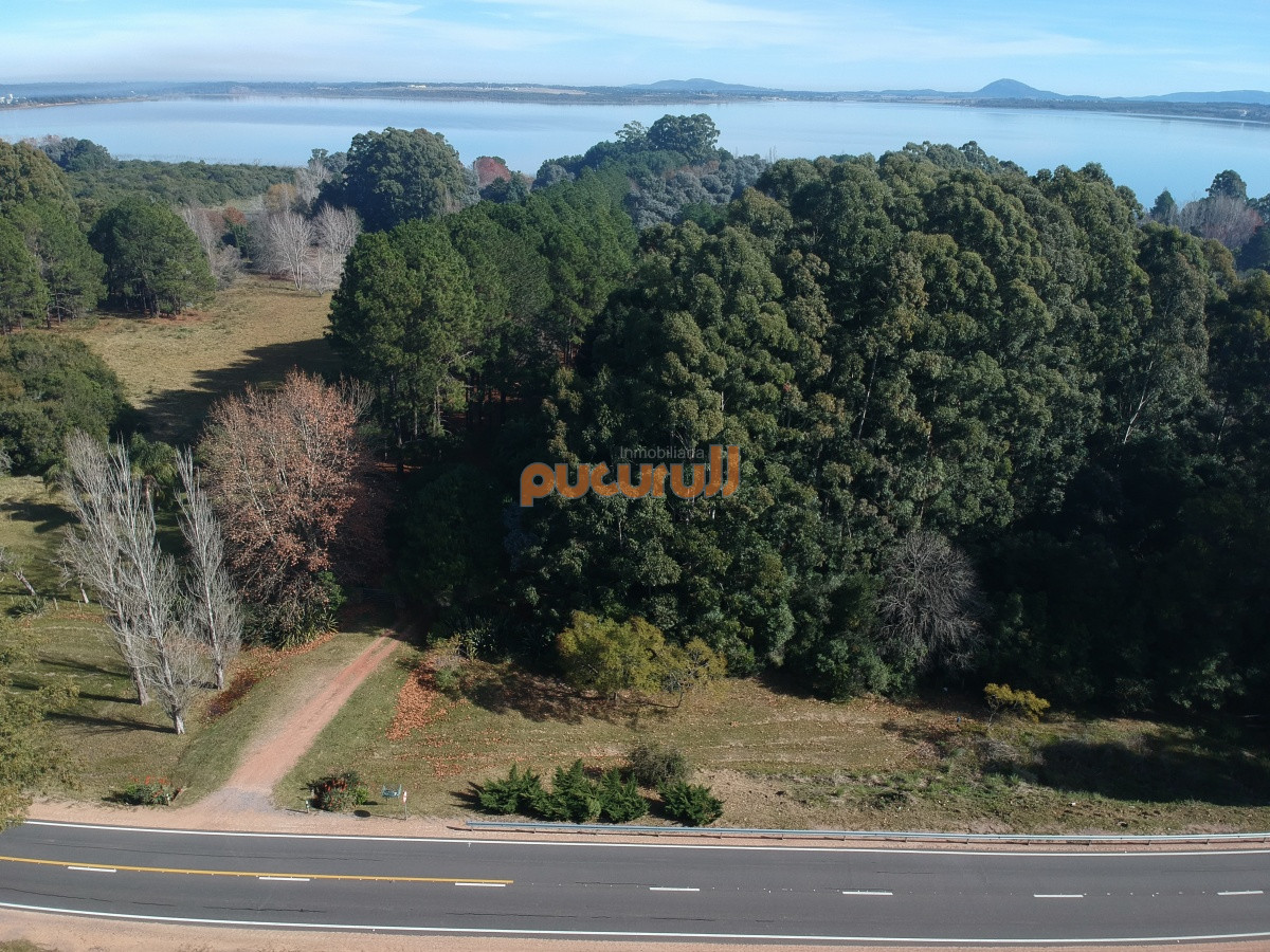 Laguna del Sauce - GoPunta - Portal Inmobiliario de Punta del Este - Maldonado