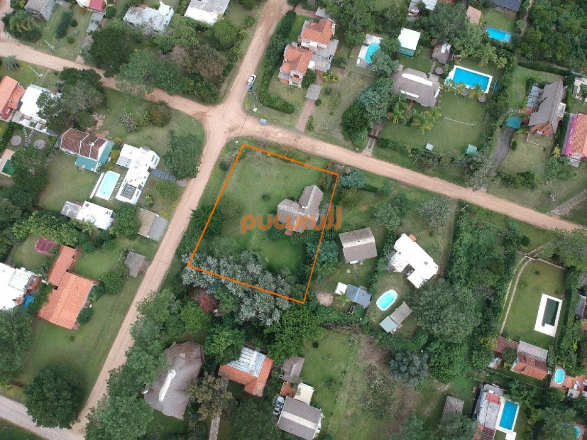 Tio Tom - GoPunta - Portal Inmobiliario de Punta del Este - Maldonado