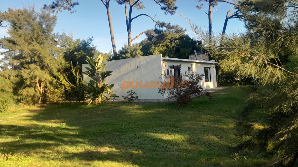 Tio Tom - GoPunta - Portal Inmobiliario de Punta del Este - Maldonado