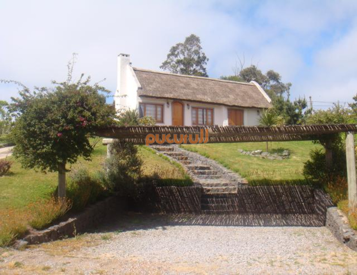 Tio Tom - GoPunta - Portal Inmobiliario de Punta del Este - Maldonado