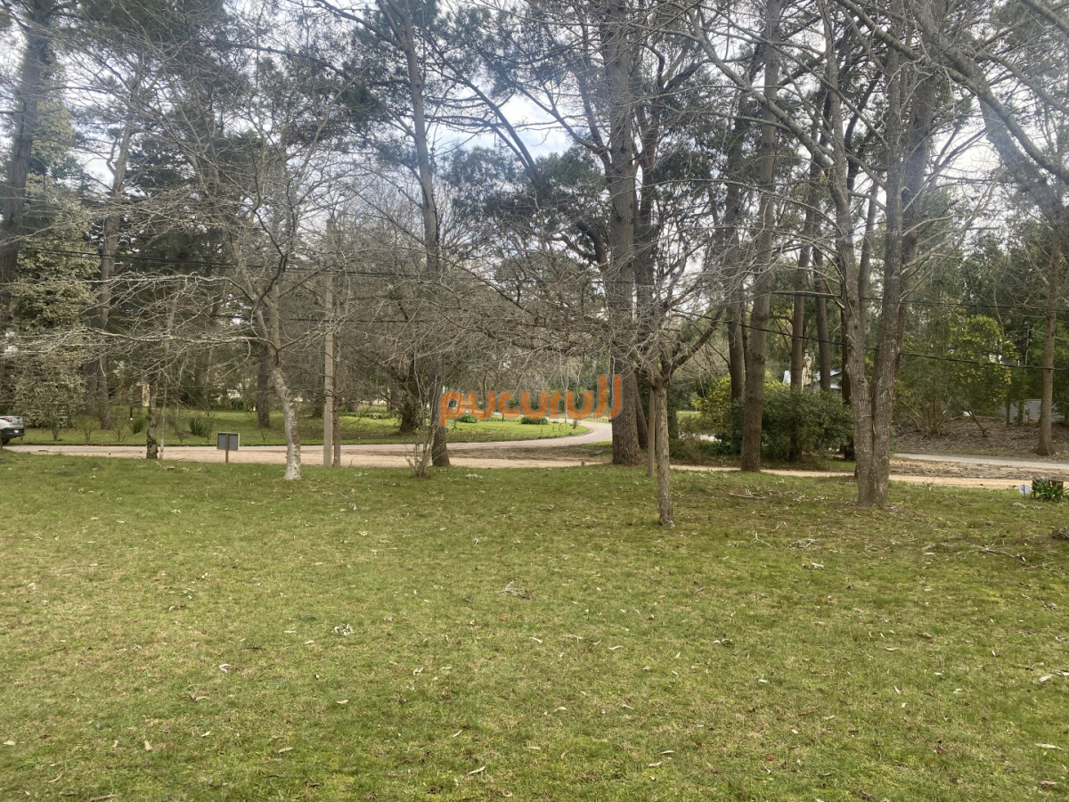 Casa ID.3029 - Casa en Punta Ballena, Portezuelo Bosque