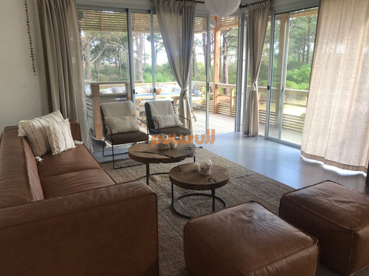 Chihuahua - GoPunta - Portal Inmobiliario de Punta del Este - Maldonado