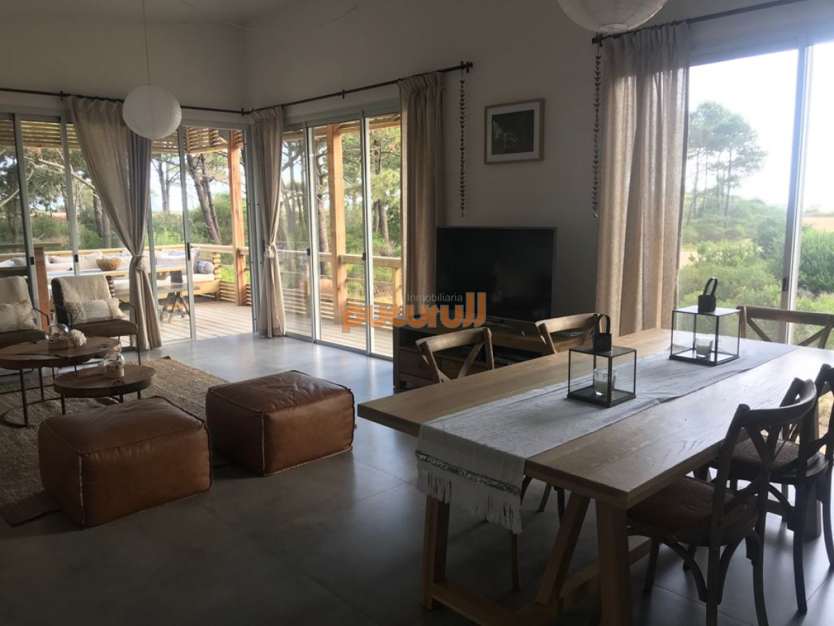 Chihuahua - GoPunta - Portal Inmobiliario de Punta del Este - Maldonado