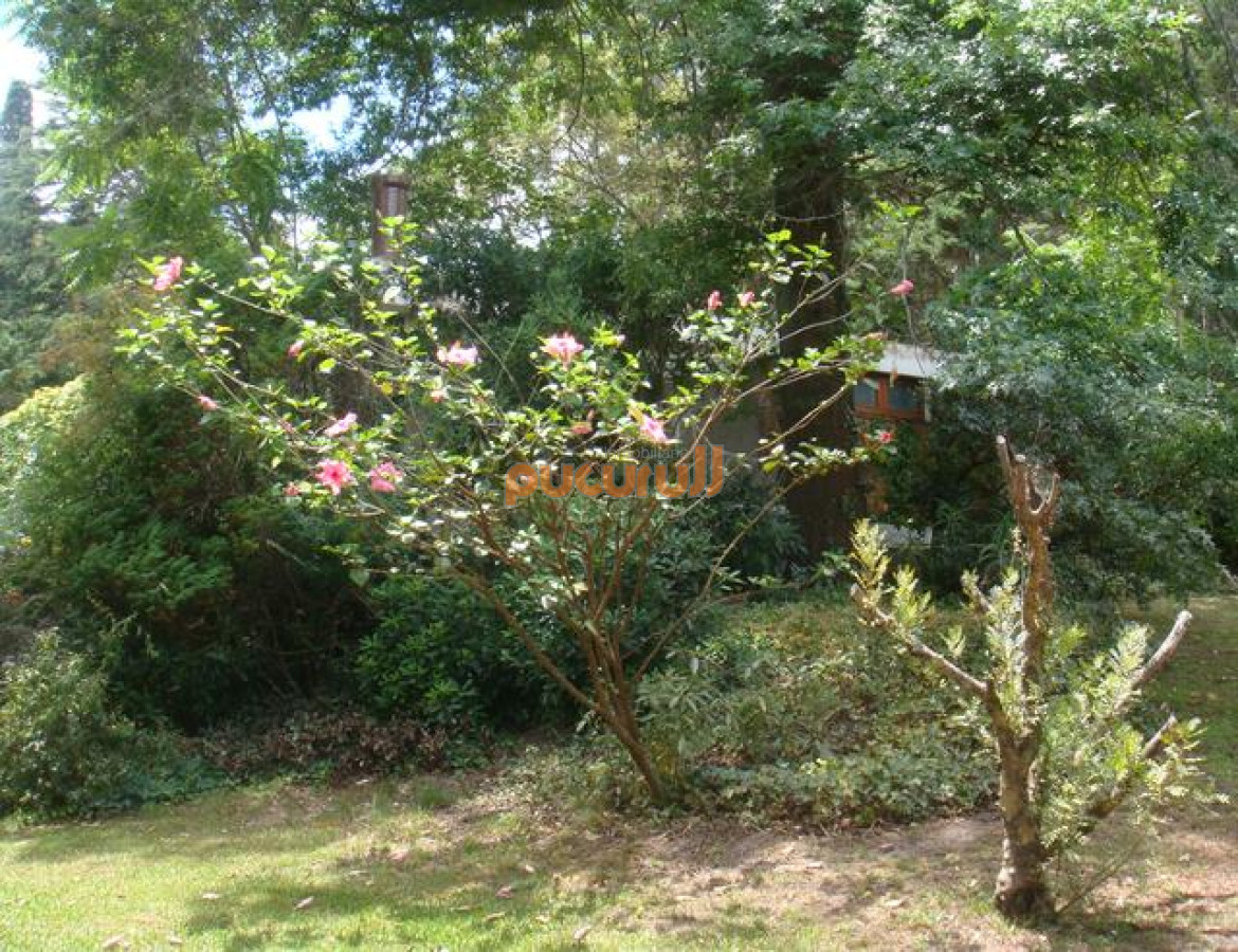 Solanas - GoPunta - Portal Inmobiliario de Punta del Este - Maldonado
