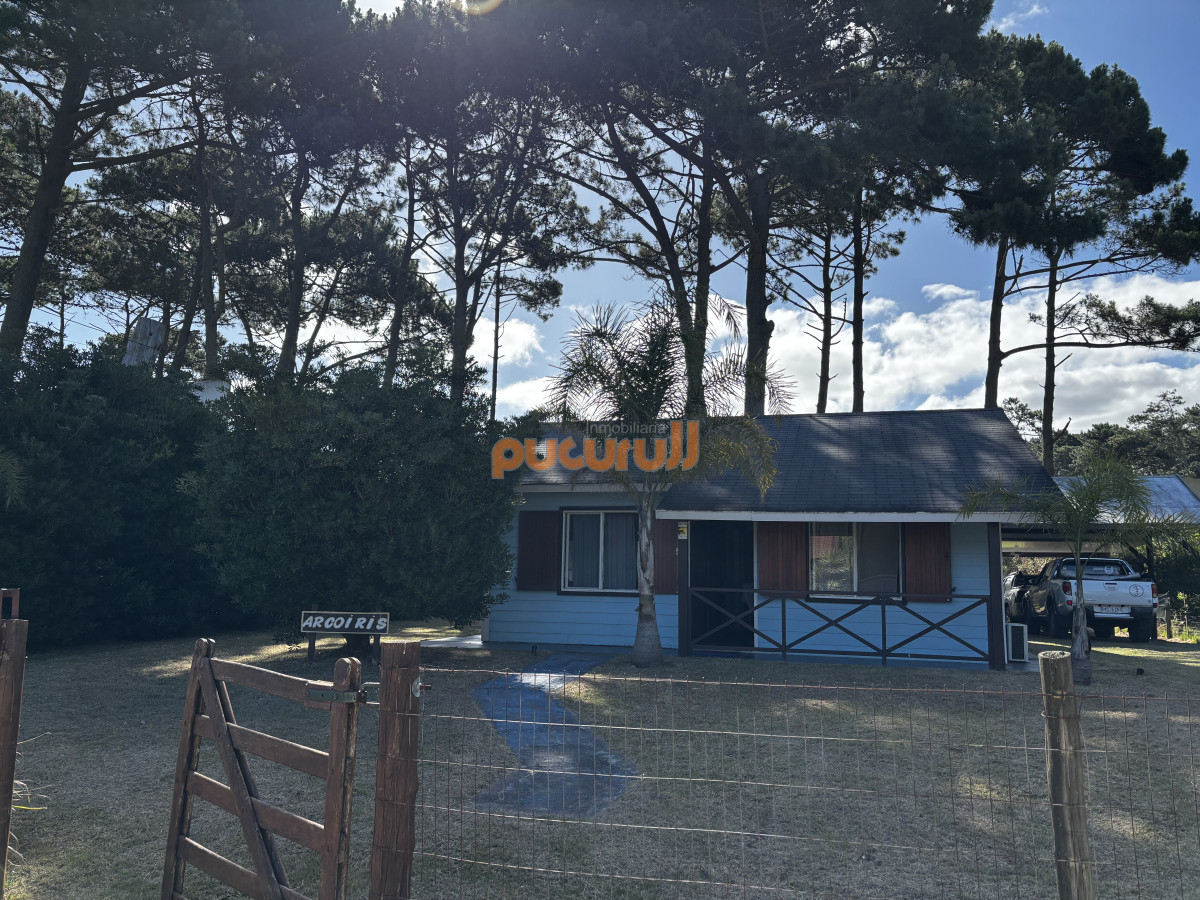 Tio Tom - GoPunta - Portal Inmobiliario de Punta del Este - Maldonado