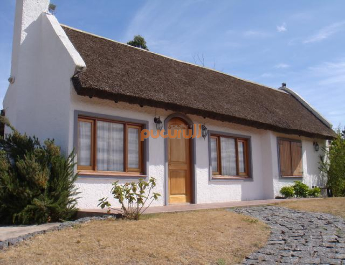 Tio Tom - GoPunta - Portal Inmobiliario de Punta del Este - Maldonado