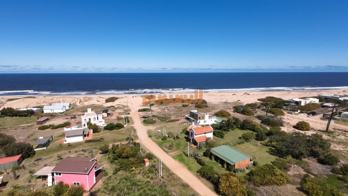 Chihuahua - GoPunta - Portal Inmobiliario de Punta del Este - Maldonado