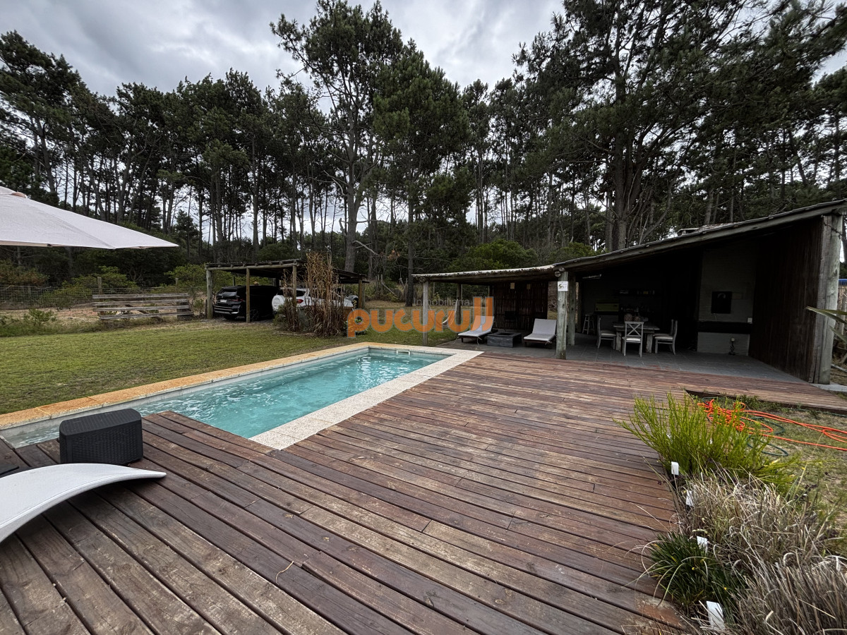 Chihuahua - GoPunta - Portal Inmobiliario de Punta del Este - Maldonado