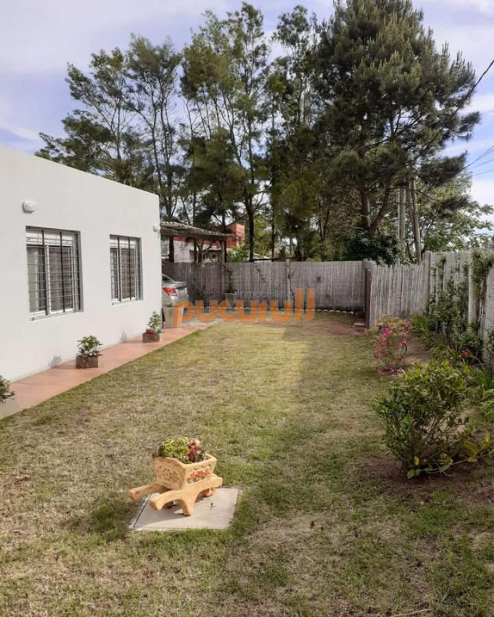 Tio Tom - GoPunta - Portal Inmobiliario de Punta del Este - Maldonado