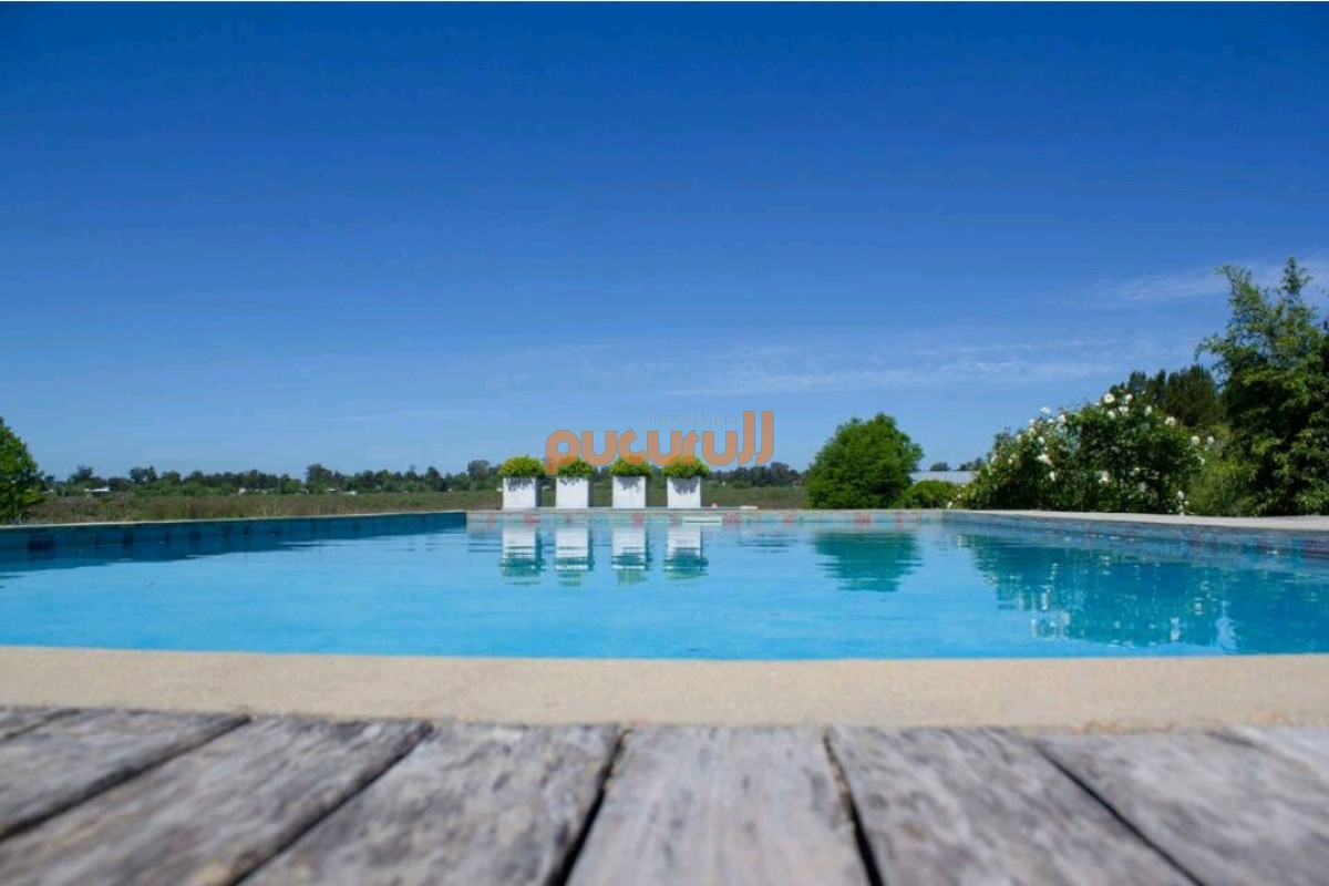Laguna de los Cisnes - GoPunta - Portal Inmobiliario de Punta del Este - Maldonado