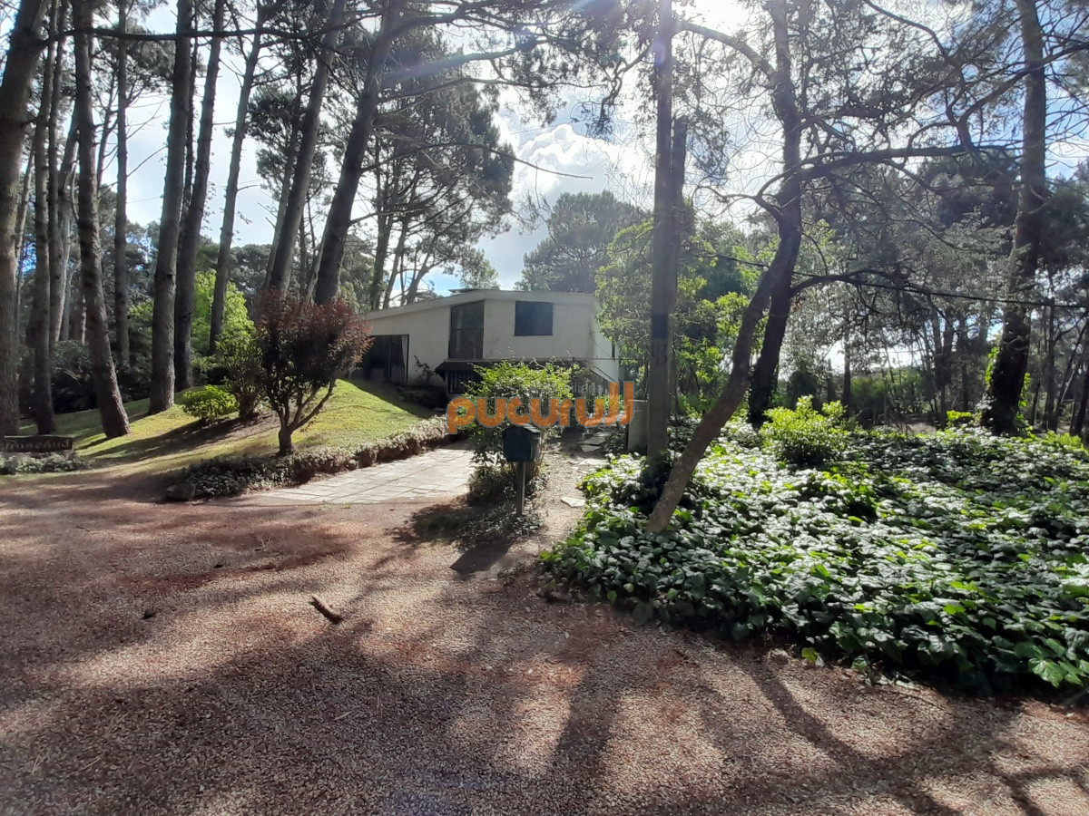 Portezuelo Bosque - GoPunta - Portal Inmobiliario de Punta del Este - Maldonado