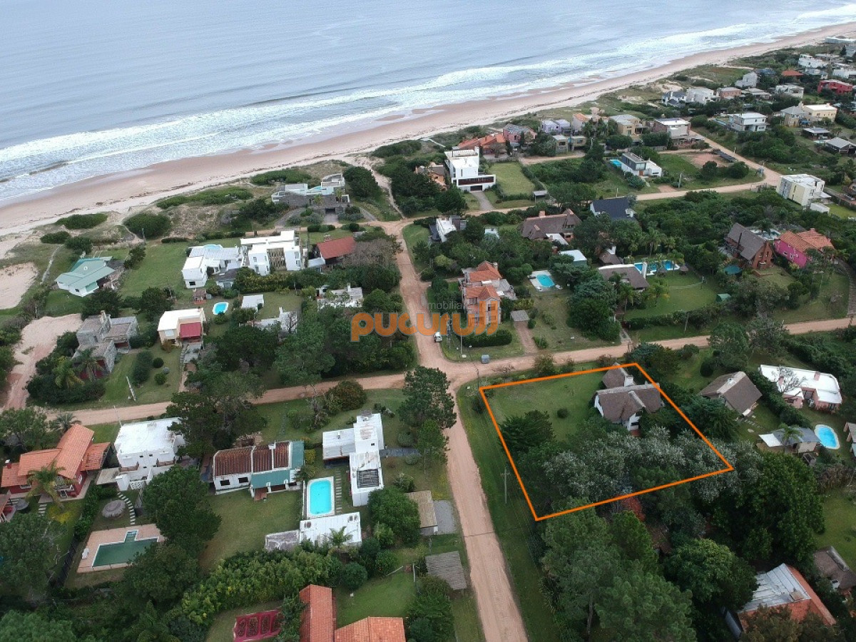 Tio Tom - GoPunta - Portal Inmobiliario de Punta del Este - Maldonado