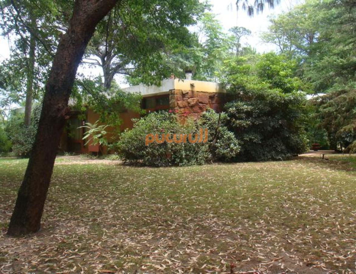 Solanas - GoPunta - Portal Inmobiliario de Punta del Este - Maldonado