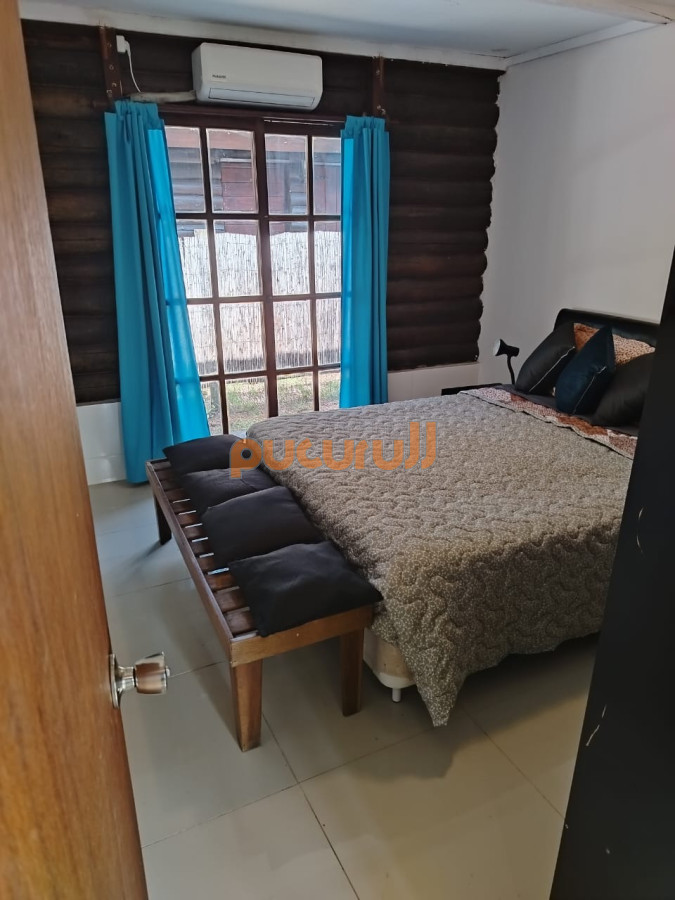 Chihuahua - GoPunta - Portal Inmobiliario de Punta del Este - Maldonado