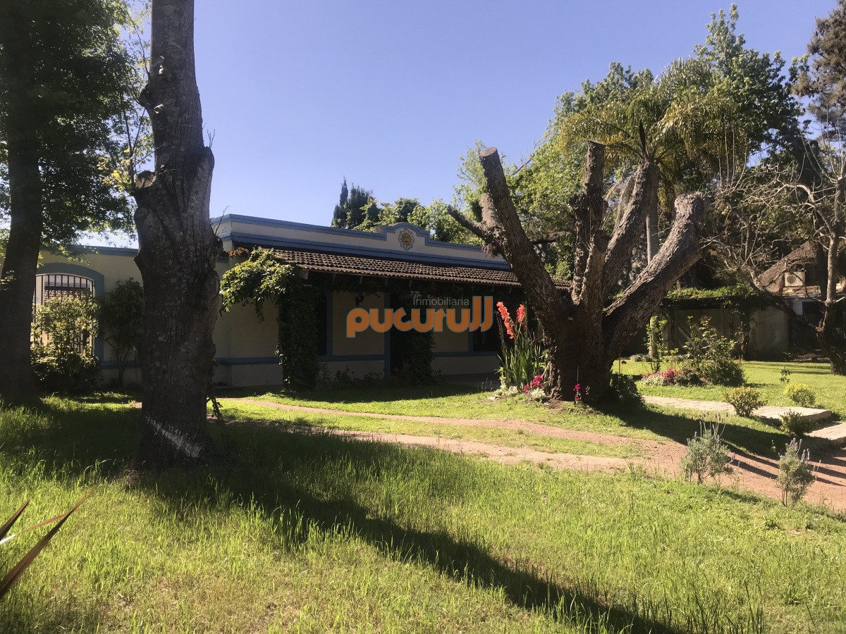 Propiedad - GoPunta - Portal Inmobiliario de Punta del Este - Maldonado