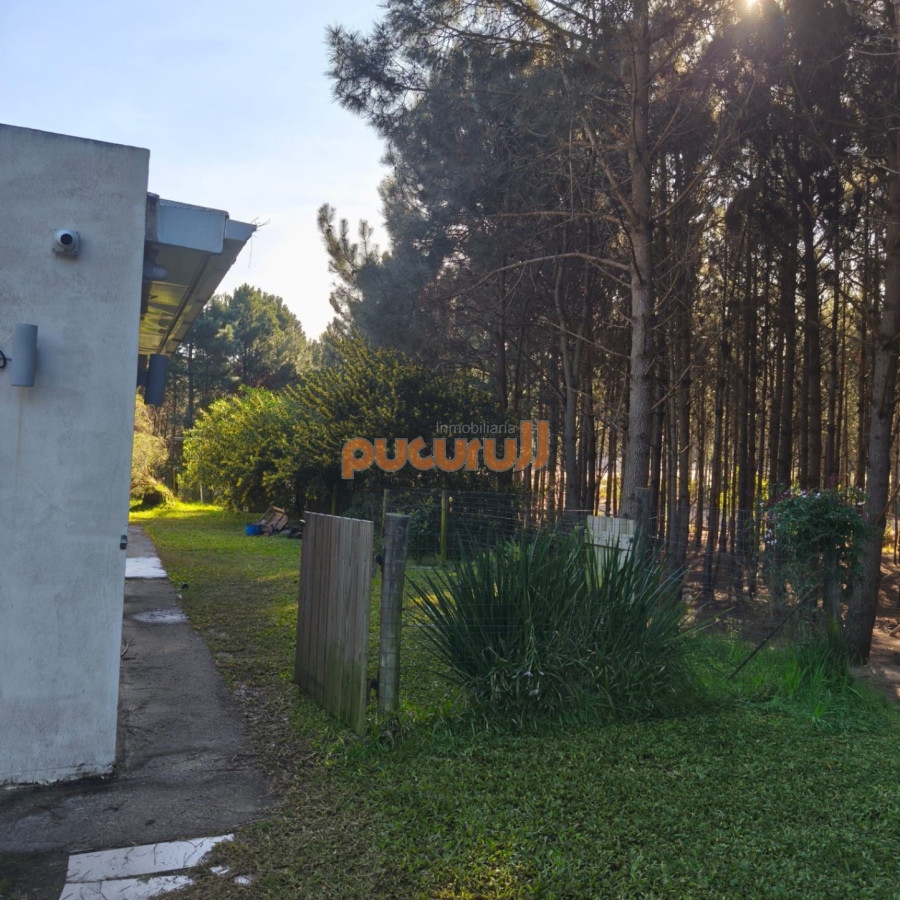 Casa ID.2353 - Entorno de Bosque!