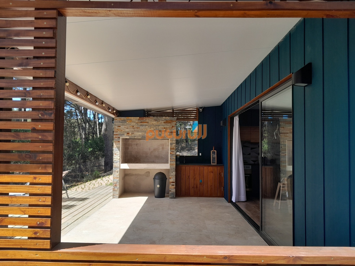 Chihuahua - GoPunta - Portal Inmobiliario de Punta del Este - Maldonado