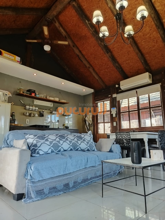 Chihuahua - GoPunta - Portal Inmobiliario de Punta del Este - Maldonado