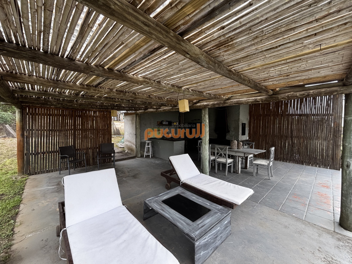 Chihuahua - GoPunta - Portal Inmobiliario de Punta del Este - Maldonado