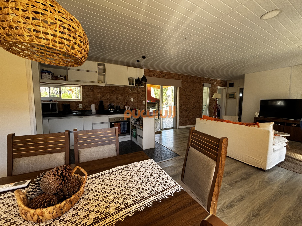 Chihuahua - GoPunta - Portal Inmobiliario de Punta del Este - Maldonado