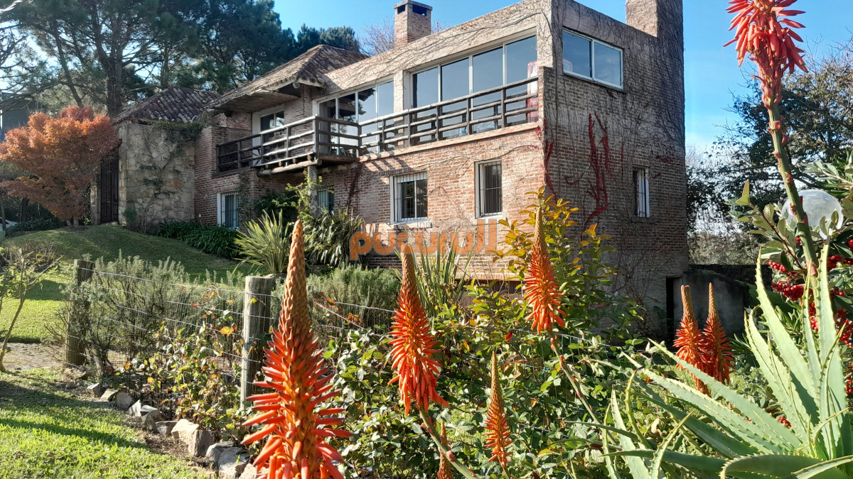 Punta Ballena - GoPunta - Portal Inmobiliario de Punta del Este - Maldonado