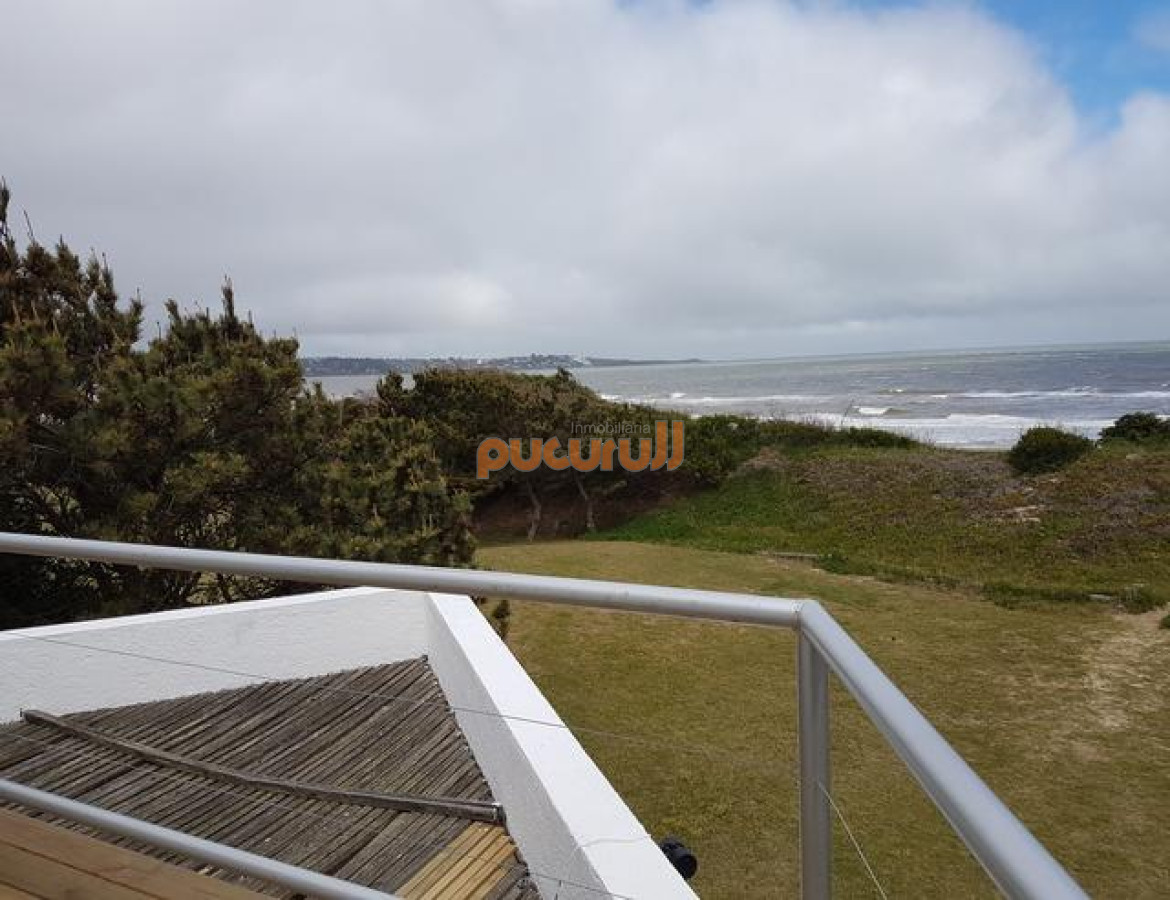 Tio Tom - GoPunta - Portal Inmobiliario de Punta del Este - Maldonado