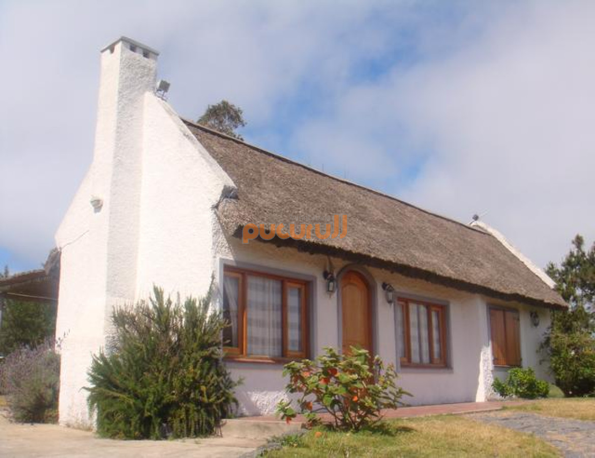 Tio Tom - GoPunta - Portal Inmobiliario de Punta del Este - Maldonado