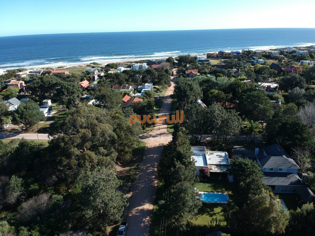 Tio Tom - GoPunta - Portal Inmobiliario de Punta del Este - Maldonado