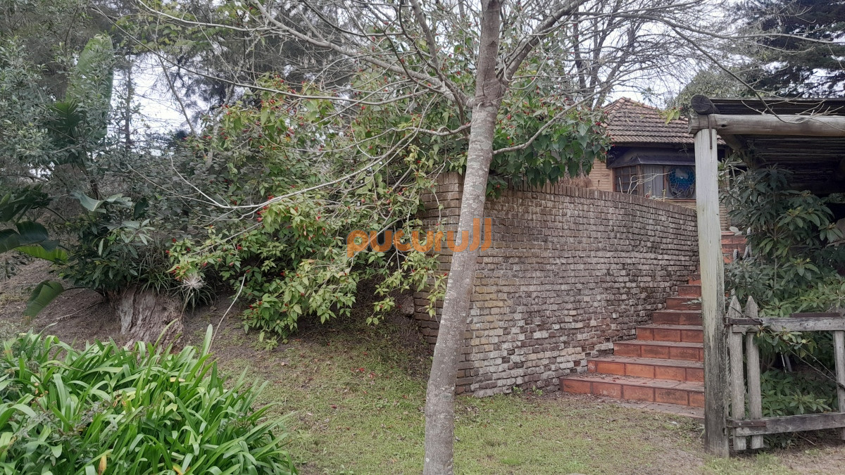 Tio Tom - GoPunta - Portal Inmobiliario de Punta del Este - Maldonado
