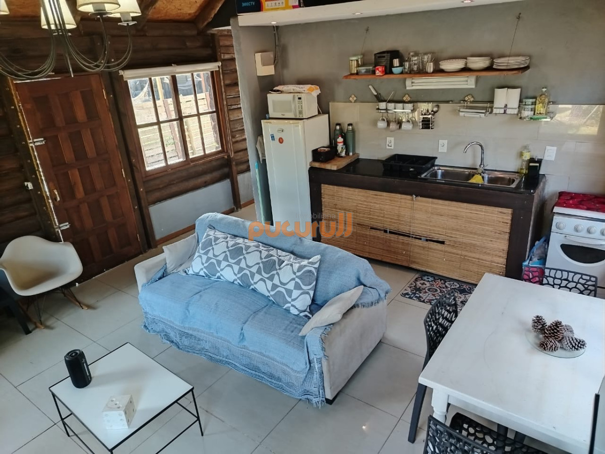 Chihuahua - GoPunta - Portal Inmobiliario de Punta del Este - Maldonado
