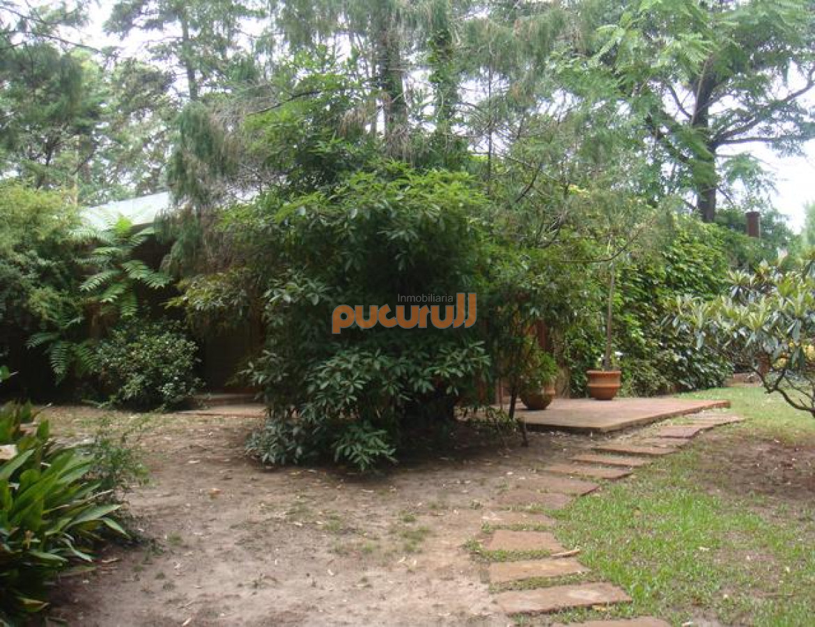 Solanas - GoPunta - Portal Inmobiliario de Punta del Este - Maldonado