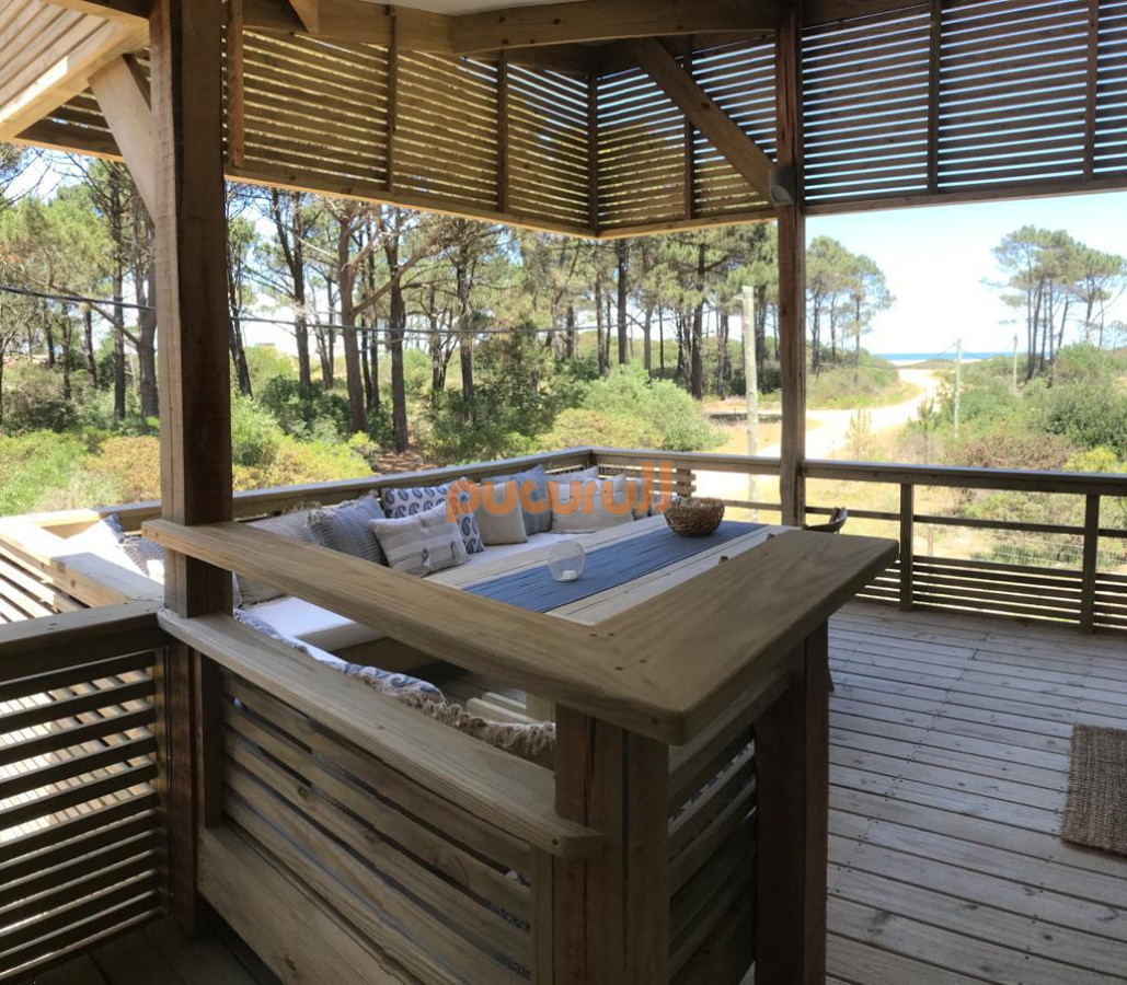 Chihuahua - GoPunta - Portal Inmobiliario de Punta del Este - Maldonado