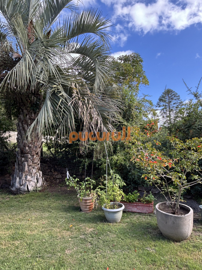 Casa ID.337 - Punta Ballena al norte de Rinconada