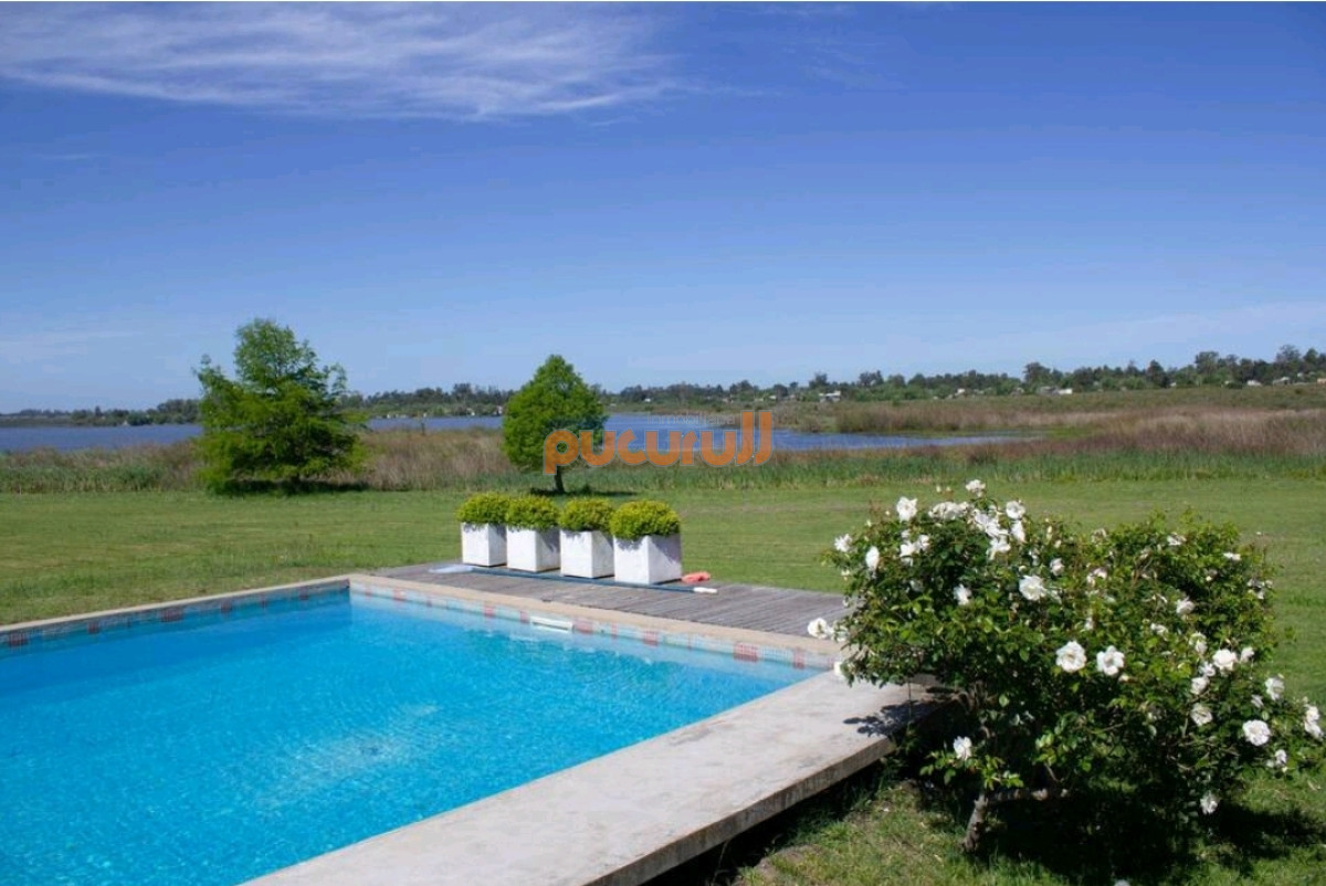 Laguna de los Cisnes - GoPunta - Portal Inmobiliario de Punta del Este - Maldonado