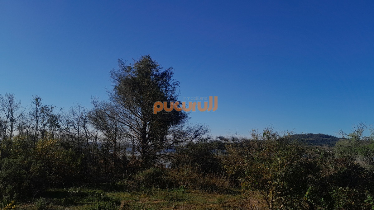 Casa ID.1862 - Directamente sobre la Laguna del sauce