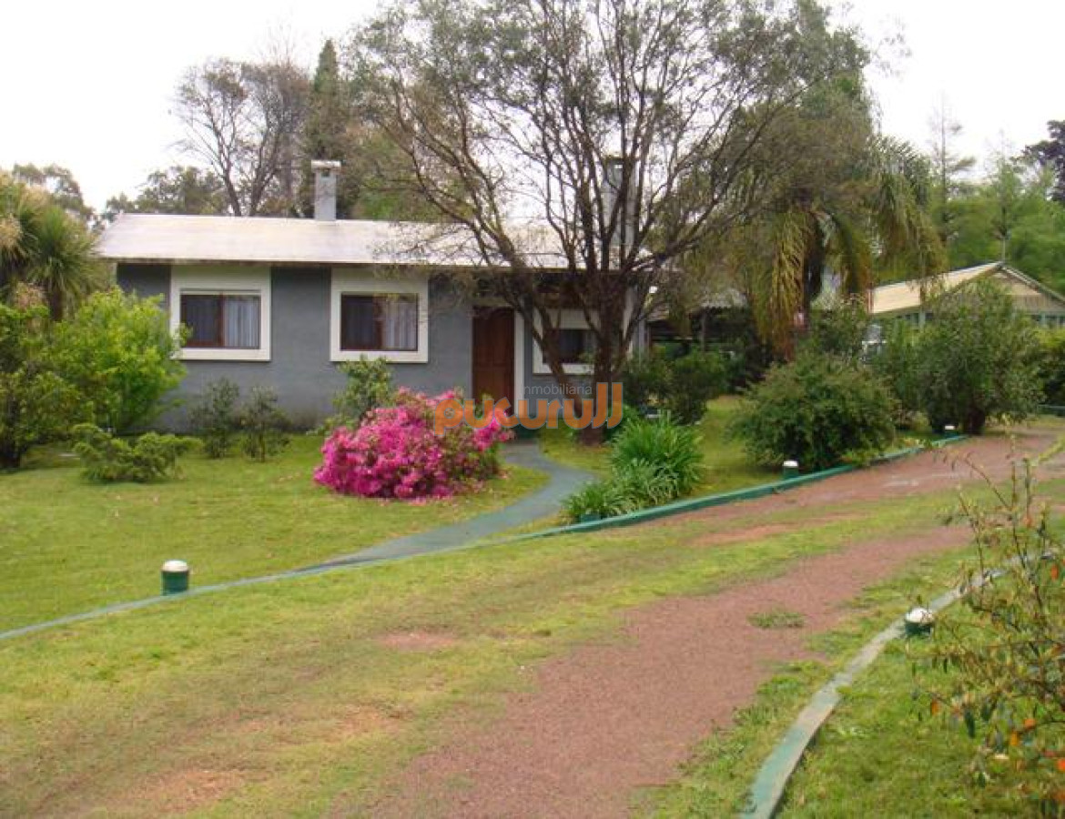 Duraznito - GoPunta - Portal Inmobiliario de Punta del Este - Maldonado