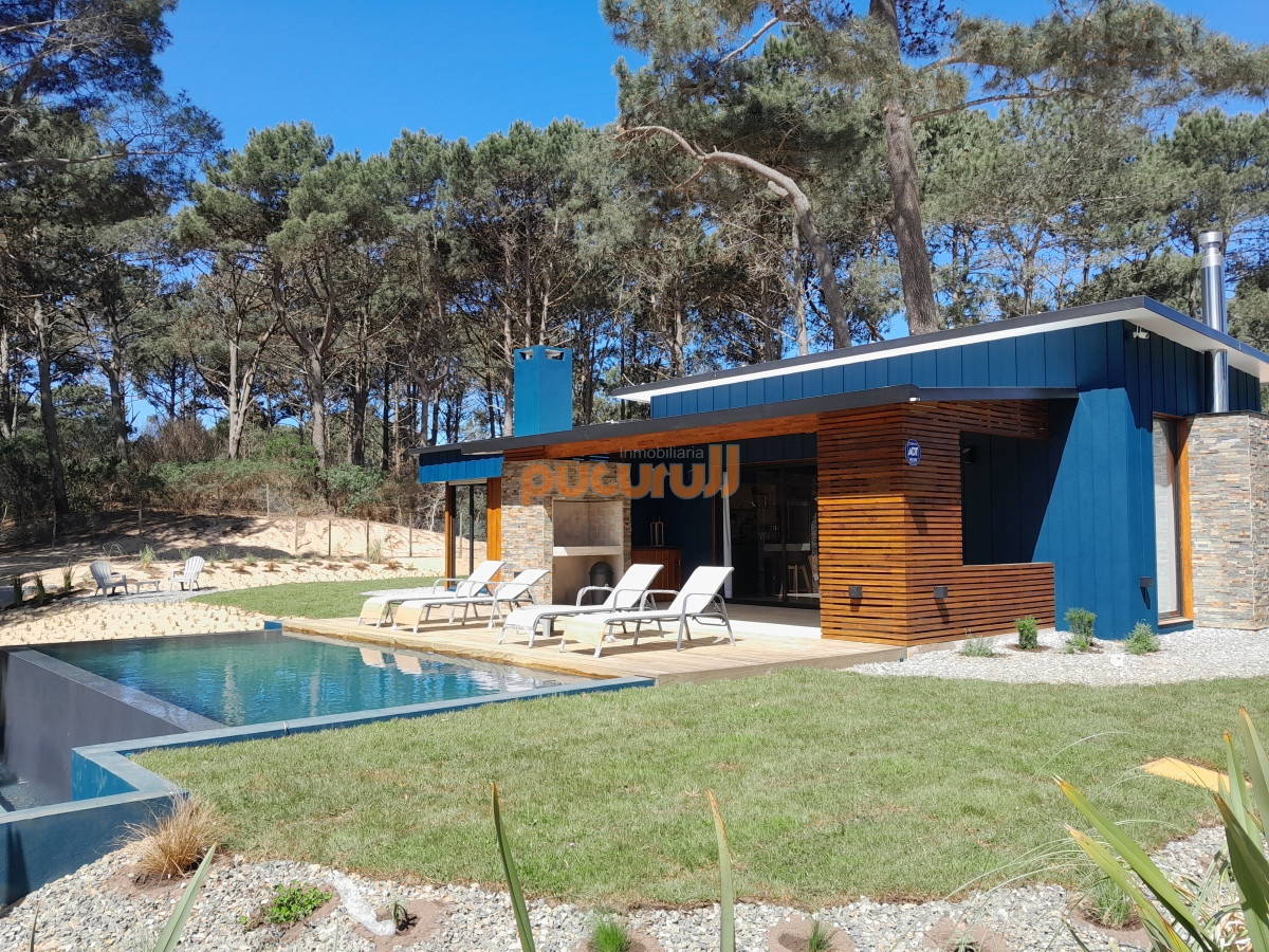 Chihuahua - GoPunta - Portal Inmobiliario de Punta del Este - Maldonado