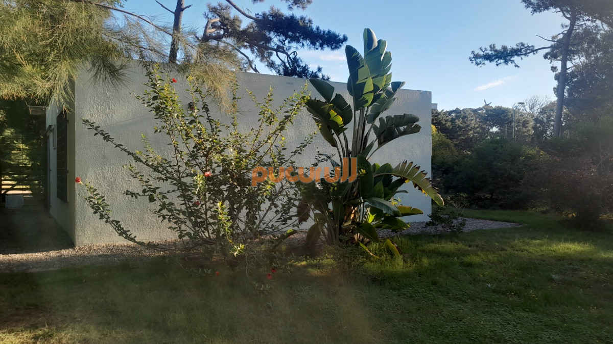 Tio Tom - GoPunta - Portal Inmobiliario de Punta del Este - Maldonado