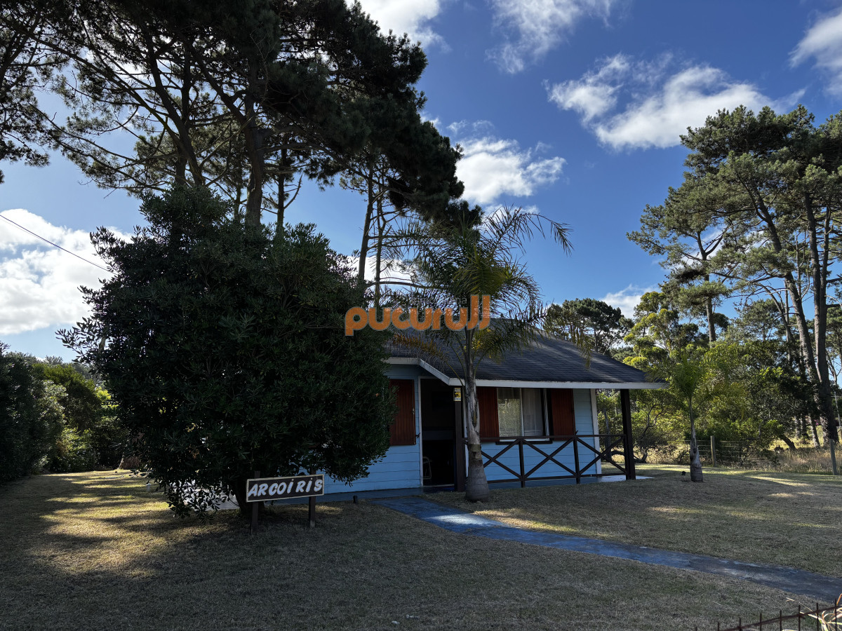Tio Tom - GoPunta - Portal Inmobiliario de Punta del Este - Maldonado