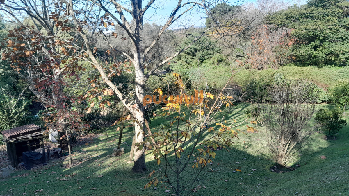 Casa ID.2174 - Casa en Punta Ballena, Punta Ballena