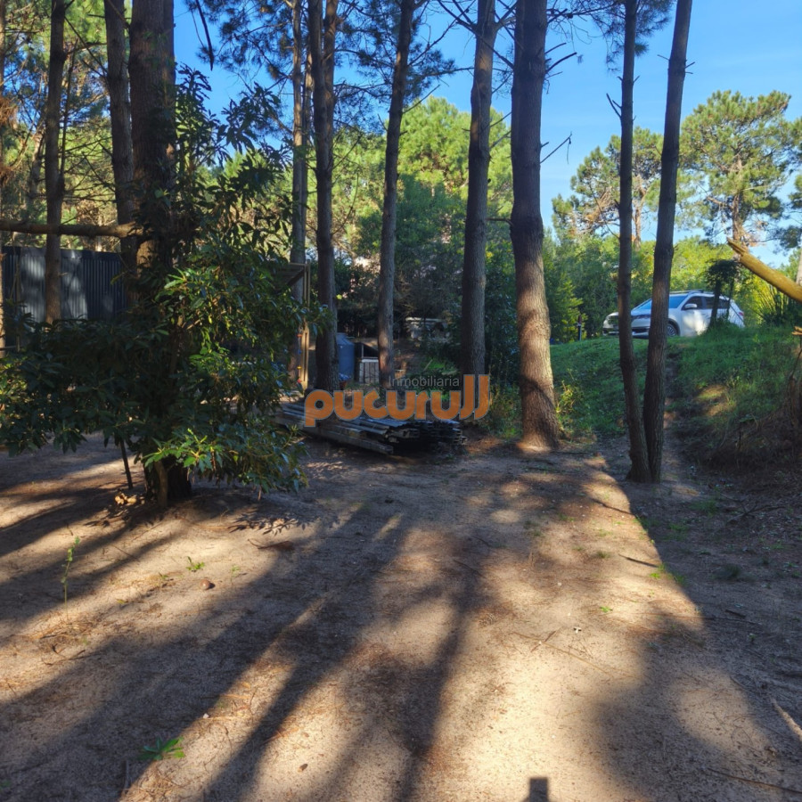 Casa ID.2353 - Entorno de Bosque!