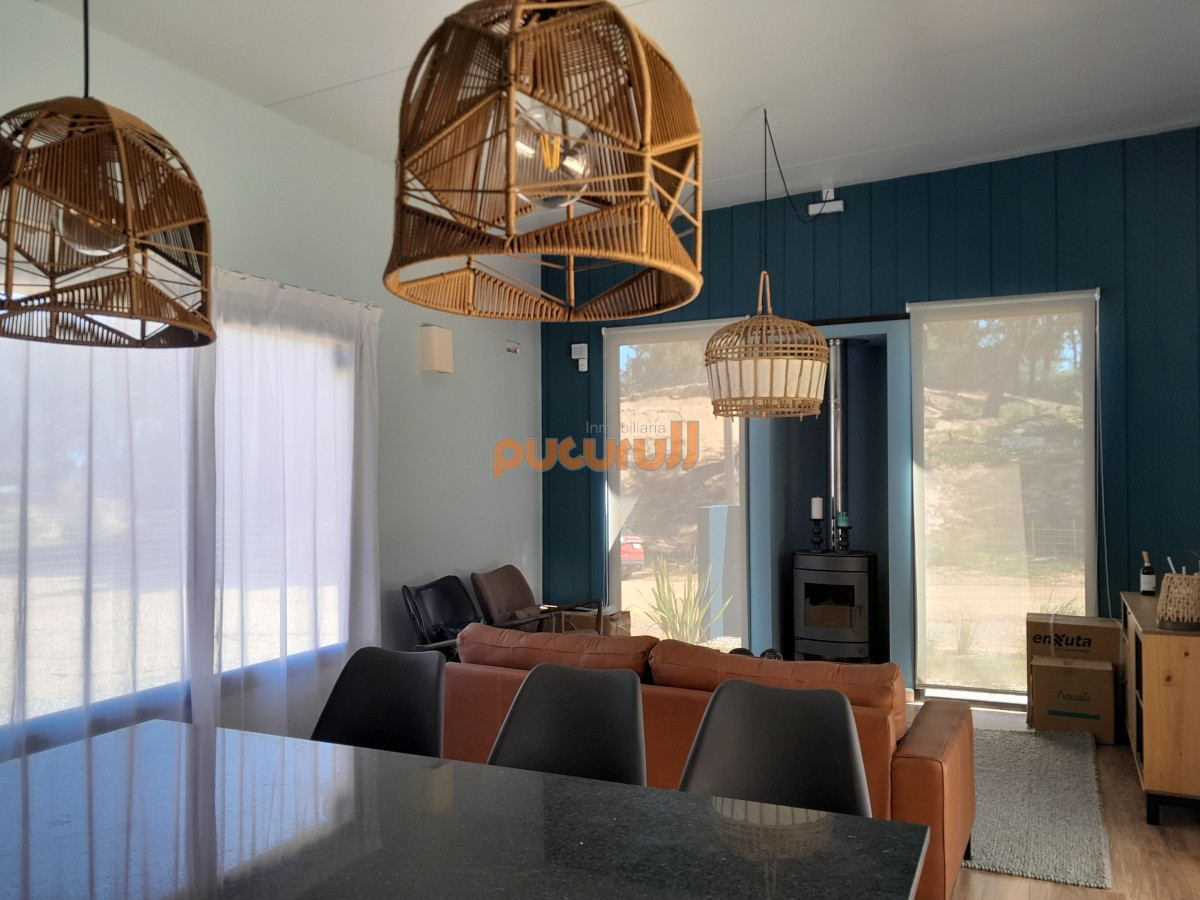 Chihuahua - GoPunta - Portal Inmobiliario de Punta del Este - Maldonado