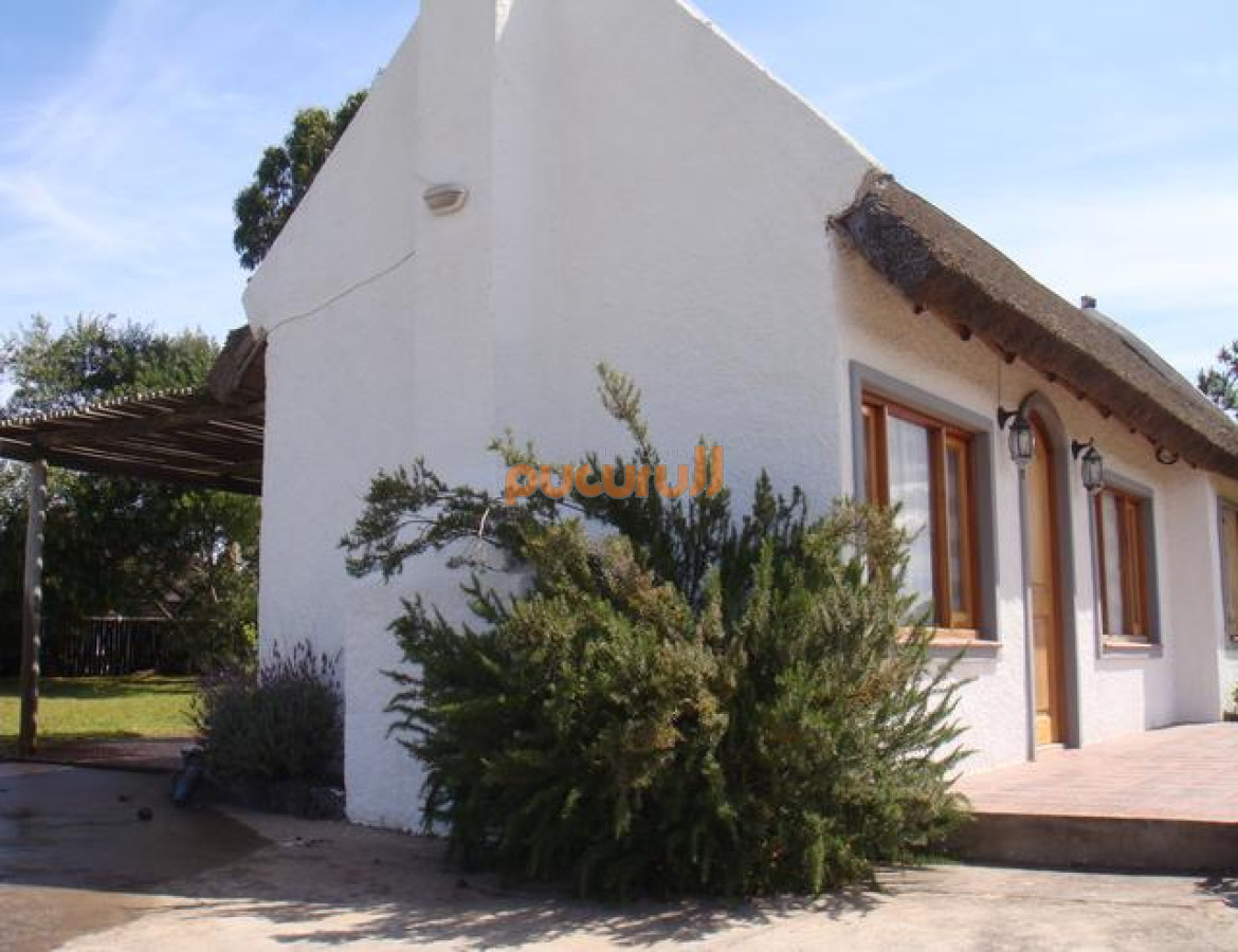 Tio Tom - GoPunta - Portal Inmobiliario de Punta del Este - Maldonado