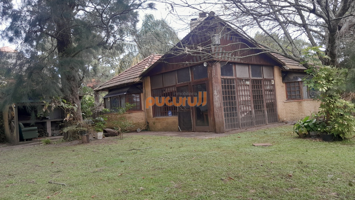 Tio Tom - GoPunta - Portal Inmobiliario de Punta del Este - Maldonado