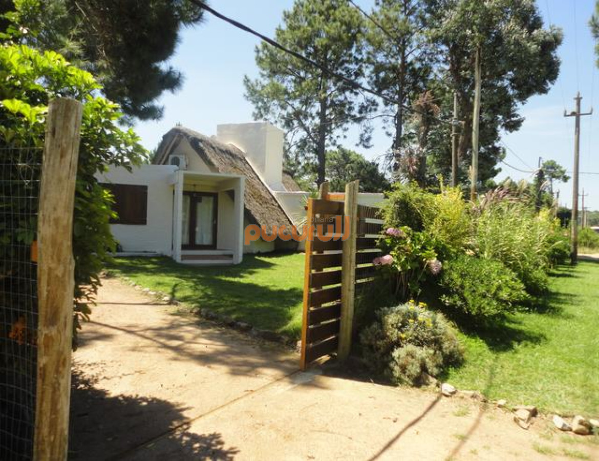 Tio Tom - GoPunta - Portal Inmobiliario de Punta del Este - Maldonado