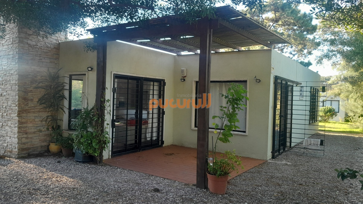 Tio Tom - GoPunta - Portal Inmobiliario de Punta del Este - Maldonado