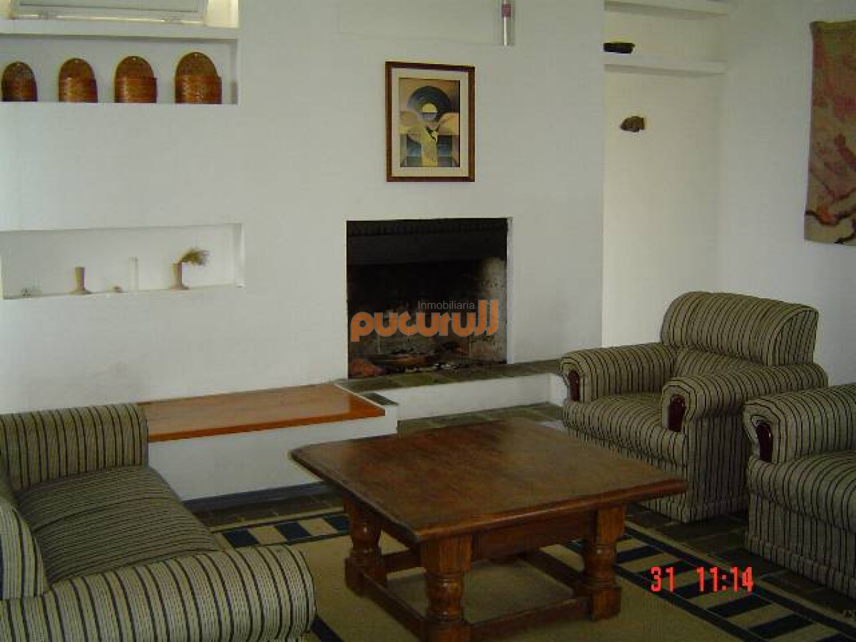 Tio Tom - GoPunta - Portal Inmobiliario de Punta del Este - Maldonado