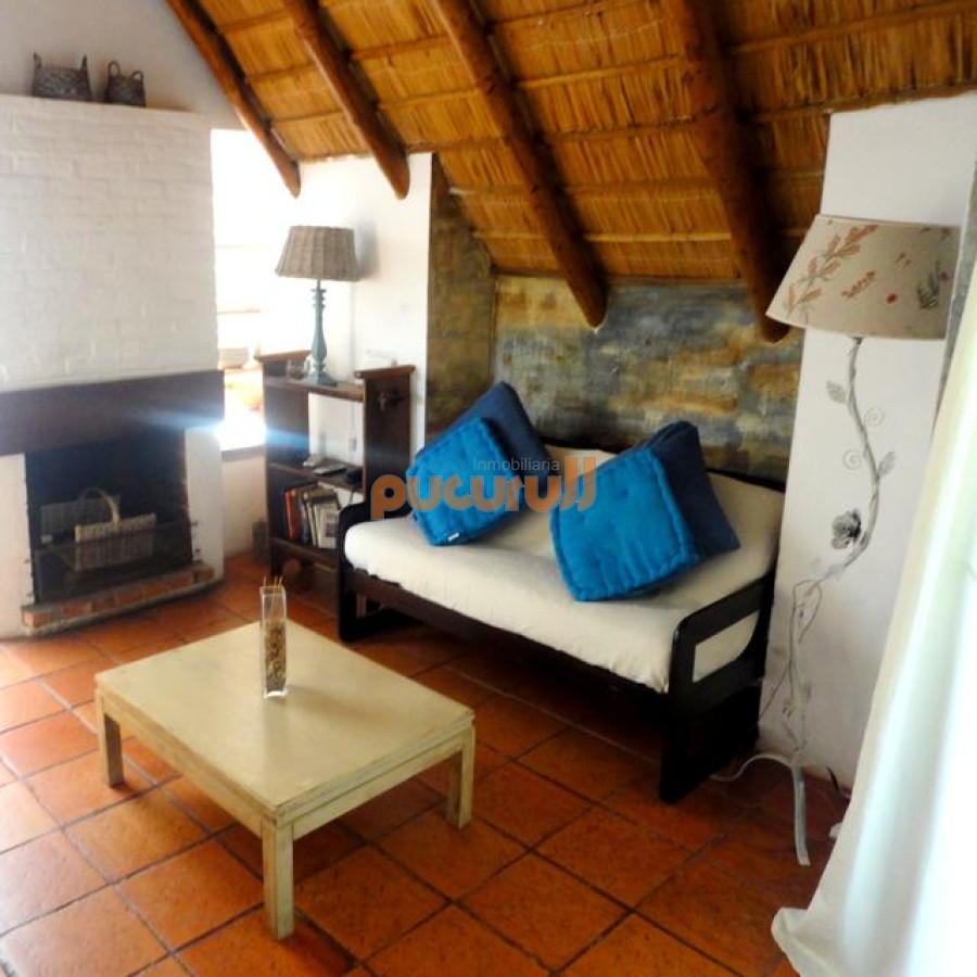 Tio Tom - GoPunta - Portal Inmobiliario de Punta del Este - Maldonado